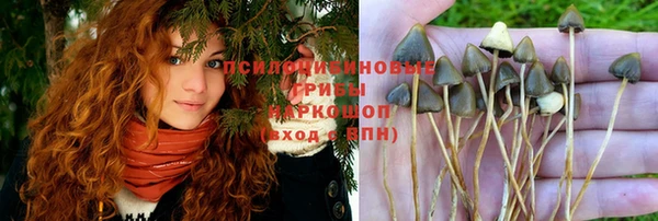 ПСИЛОЦИБИНОВЫЕ ГРИБЫ Краснослободск