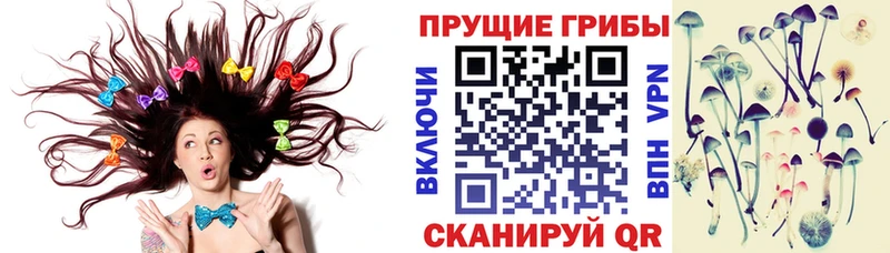 Галлюциногенные грибы Psilocybe  Купить закладки  Алексин 